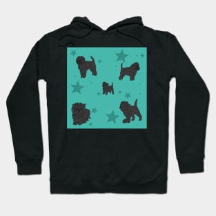 Affenpinscher Pattern Turqouise Hoodie